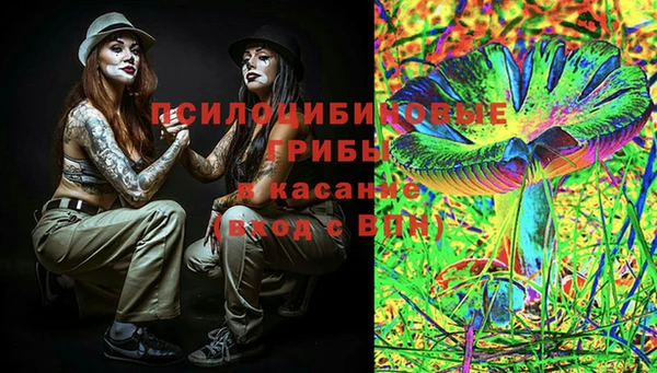 MESCALINE Гусь-Хрустальный